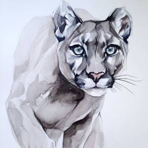 Пума с голубыми глазами