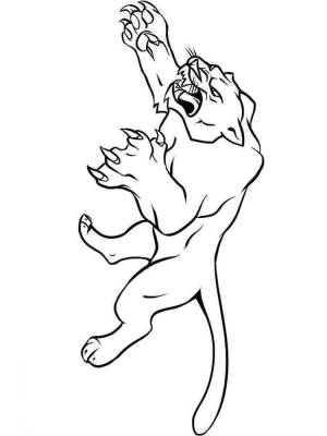 Раскраски Пума