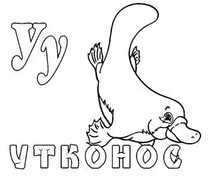 УТКОНОС  РАСКРАСКИ