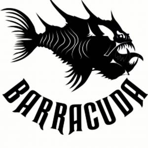 Ножницы Barracuda Gold Link Прямые 7' H22-70