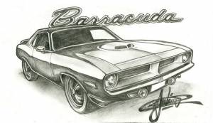 barracuda