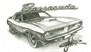 barracuda