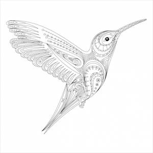 Колибри каракули стзованный zentangle орнамент раскраски страницы книги для взрослых рисованной иллюстрации