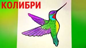Как нарисовать птицу КОЛИБРИ?