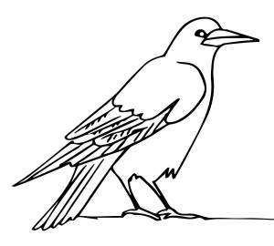 Чёрная ворона