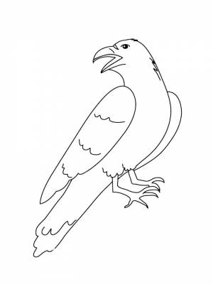 Раскраска Ворона   в формате