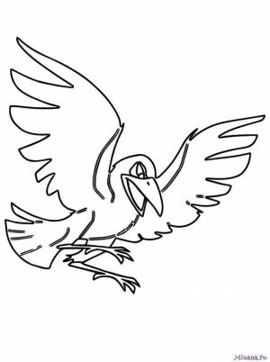 Раскраска ворона 7