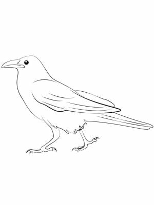 Раскраска Ворона   в формате