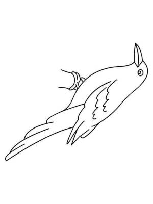 Раскраска Ворона