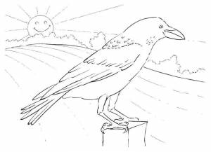 Раскраски Раскраска Ворона на заборе встречает рассвет Контуры для вырезания птиц детские
