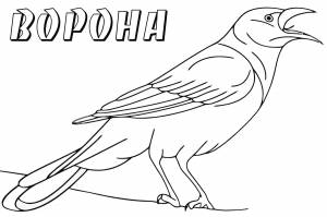 Раскраски Ворона для детей 3 4 лет
