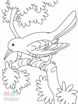 Раскраска Ворона