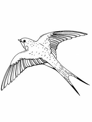 Раскраска Ласточка  листе  онлайн