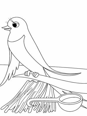 Раскраска Ласточка  картинку для детей