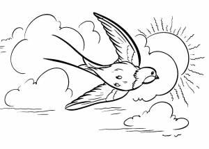 Раскраски Ласточки