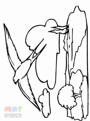 Раскраска Ласточка