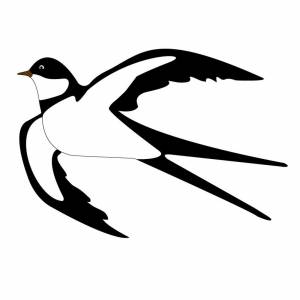 Ласточка птица в полете