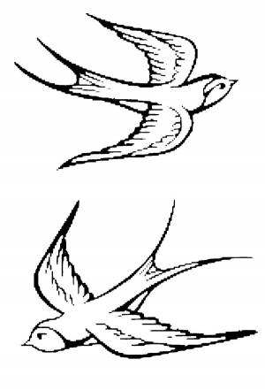 Раскраски Раскраска Ласточки ласточка
