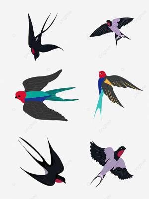 ласточка PNG рисунок, картинки и пнг прозрачный для й загрузки