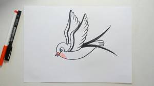 Ласточка нарисовать