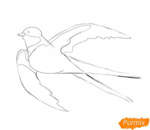 Как нарисовать Ласточку поэтапно