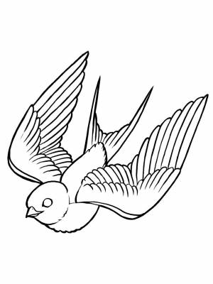 Раскраска Ласточка   в формате