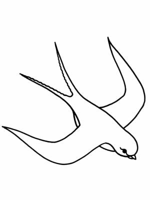 Раскраска Ласточка   в формате