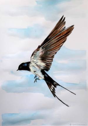 Рисунок карандашом  Ласточка летит в интернет-магазине на Ярмарке Мастеров