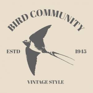 Логотип птица полет крылья перья рисунок ласточка старинные гравированные иллюстрации