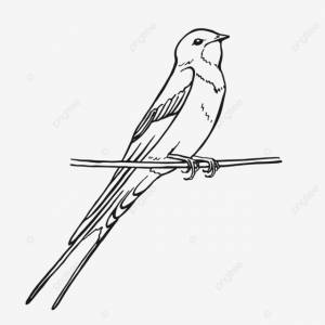 ласточка птица муха арт рука PNG , путешествие, Рисование, искусство PNG картинки и пнг рисунок для й загрузки