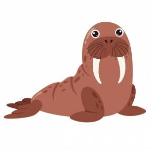 Мультфильм рисунок моржа