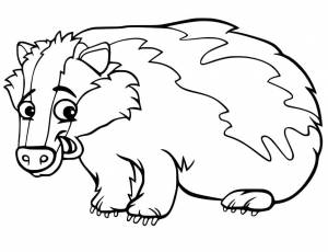 Раскраска Барсук 6