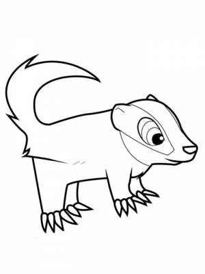 Раскраски Барсук   в формате