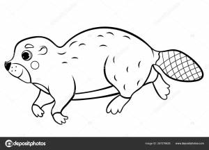 Симпатичный Рисунок Диких Плавающих Бобров Векторной Раскраски Страницы Раскрашивание Книги Векторное изображение ©ElenaParshina 357279628