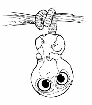 Раскраски Лемур