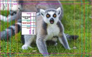 Вятские картины на холсте Лемур, окрас, взгляд, трава на подрамнике