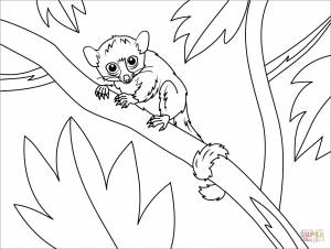 Раскраска Мадам причаливает мышиный лемур