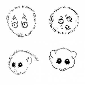 Лемур лори на векторной иллюстрации дерева нарисован вручную черно-белыми чернилами перо милые лори китайцы