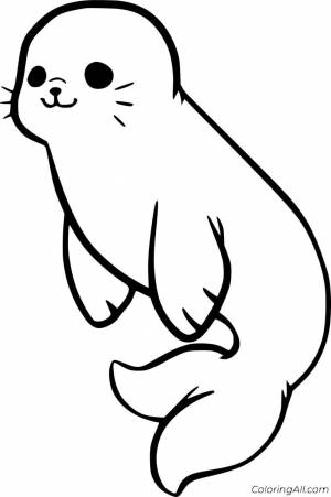 Морской котик рисунок