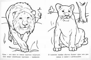 Раскраски Для детей животные красной книги