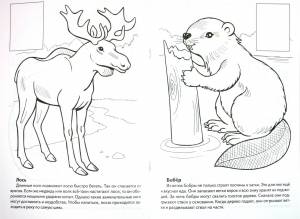 DataLife Engine > Версия для печати > Животные занесенные в красную книгу рисунки для детей