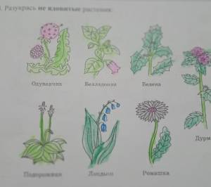DataLife Engine > Версия для печати > Детские рисунки растений и цветов