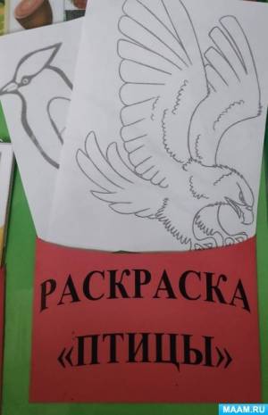 Лэпбук «По страницам Красной книги Кузбасса»