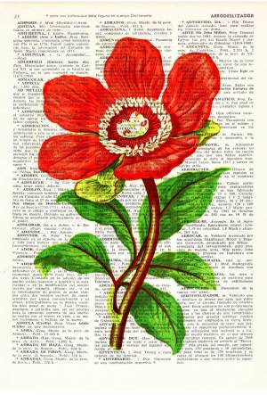 Рисунки растений из красной книги