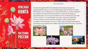 Картинки Растения из красной книги