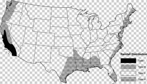 Раскраска Калифорния Карта мира, карта, угол, монохромный, мир png