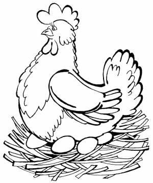 Раскраски курочка, Раскраска Курица снесла яйца в гнезде курочка ряба