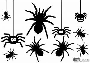 Трафарет паука на хэллоуин