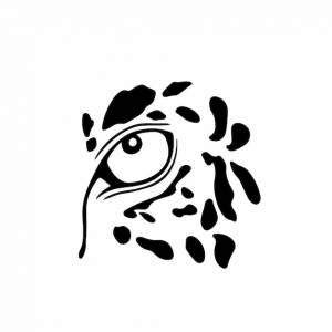Пантера глаз логотип символ трафарет дизайн татуировки векторные иллюстрации