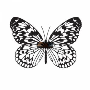 Бабочка 5